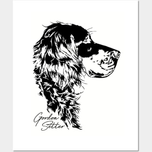 Gordon Setter dog portrait hunting dog Posters and Art